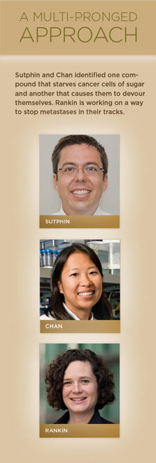 Headshots of Sutphin, Chan, Rankin. Above their photos is the text: "A multi-pronged approach. Sutphin and Chan identified one compound that starves cancer cells of sugar and another that causes them to devour themselves. Rankin is working on a way to stop metastases in their tracks.