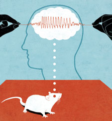 Mouse and brain illo