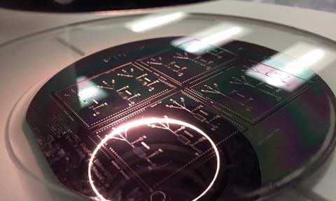 Team Toxo's tiny wafer upon which they grow cells and expose them to toxoplasma. It looks like a computer chip, with many small divisions and pathways.